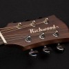 Richwood Master D-40-CE Western Gitaar semi-akoestisch