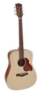 Richwood Master D-220 Western Gitaar