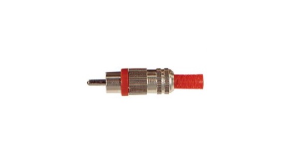 Plug Tulp male (RCA)