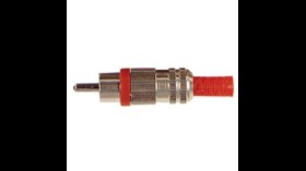 Plug Tulp male (RCA)