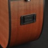 Richwood Master D-20-E Western gitaar