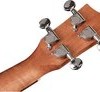 Korala UKC-110 concert ukelele