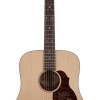 Richwood Master D-20-E Western gitaar