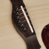 Richwood Master D-20-E Western gitaar