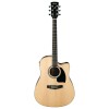 Ibanez PF15ECE-NT Western Gitaar