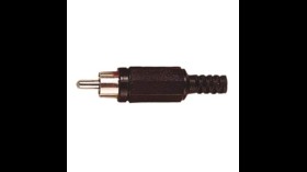 Plug Tulp male (RCA)