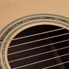 Richwood Master D-70-VA Western Gitaar