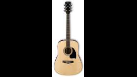 Ibanez PF-15-NT Western Gitaar