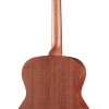 Richwood Master A-50 Western Gitaar