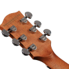 Richwood G-50-CE western gitaar