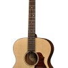 Richwood Master A-20-E Western Gitaar