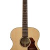 Richwood Master A-20-E Western Gitaar