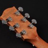 Richwood Master D-20-E Western gitaar