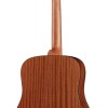 Richwood Master D-40 Western gitaar