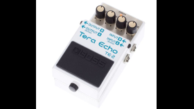 TERA echo TE2 effectpedaal