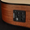 Richwood Master D-20-E Western gitaar