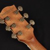 Richwood Master D-70-VA Western Gitaar