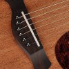 Richwood Master A-50 Western Gitaar