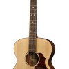 Richwood Master A-20 Western Gitaar