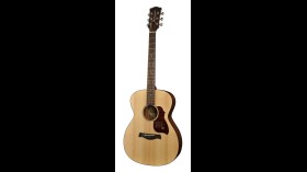 Richwood Master A-20 Western Gitaar