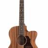 Richwood Master A-50 CE Western Gitaar