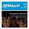 D'Addario EJ16 snarenset western