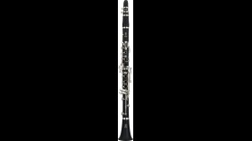 Yamaha YCL-255s