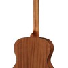 Richwood Master A-20 Western Gitaar