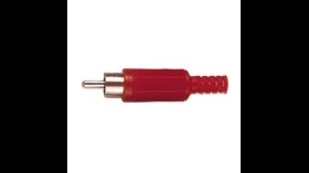 Plug Tulp male (RCA)