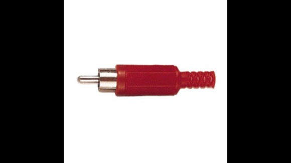 Plug Tulp male (RCA)