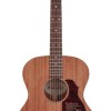 Richwood Master A-50 Western Gitaar