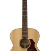 Richwood Master A-20 Western Gitaar