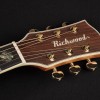 Richwood Master D-70-VA Western Gitaar