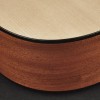 Richwood Master D-20 Western Gitaar