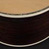 Richwood Master D-70-VA Western Gitaar