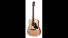 Richwood Master D-40 Western gitaar