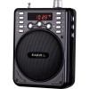 Ibiza Sound PORT1-BT Compacte luidspreker met bluetooth