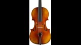 Violen