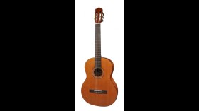 Salvador Cortez CC 22 klassieke gitaar