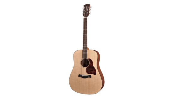 Richwood Master D-20 Western Gitaar