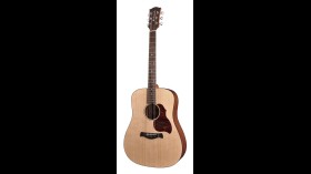Richwood Master D-20 Western Gitaar