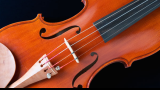 Strijkinstrumenten