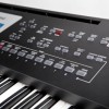 Roland BK-3 BK Keyboard