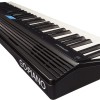 Roland GO-61P GO: Piano