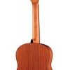 Salvador Cortez CC-10-JR 3/4 klassieke gitaar