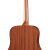 Richwood Master D-20-E Western gitaar