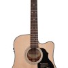 Richwood Master D-40-CE Western Gitaar semi-akoestisch