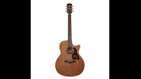 Richwood G-50-CE western gitaar