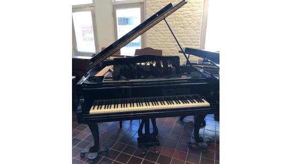 Schmidt - Flohr vleugel