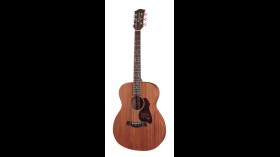 Richwood Master A-50 Western Gitaar